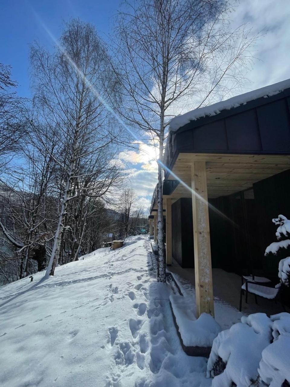Vila Nura Teşila 外观 照片